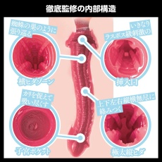 SSI - Hikari Aozora Japanese Real Hole Masturbator 照片