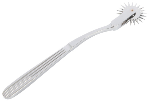 FC - Single Pinwheel - Silver 照片