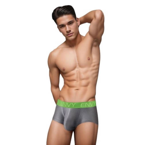 Envy - Sexy Slinky Trunk - Grey - L/XL 照片