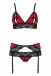 Casmir - Carisma Bikini - Red - L/XL photo-3