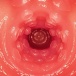 NPG - Mai Tsubasa AV Mini Masturbator photo-10