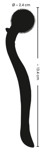 FC - Micro Pinwheel - Black 照片