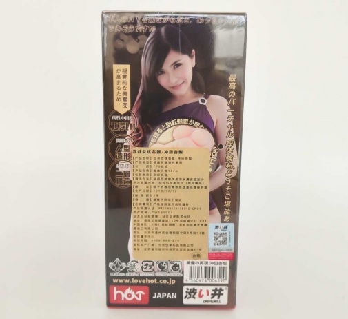 Drywell - Okita Anri Silicone Masturbator photo