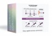 Love to Love - Per'Fit Kit Kegel Set - Purple photo-17