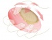 Zalo - Amorette - Fairy Pink photo-3