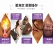 Erocome - UrsaMajor - Heating Egg - Purple photo-28