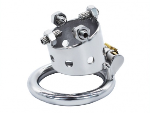 FAAK - 4 Bolts Chastity Cage 45mm - Silver photo