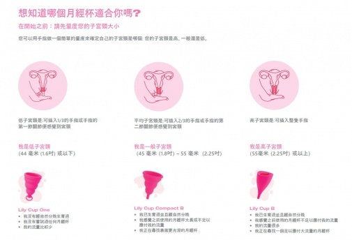 Intimina Lily Cup Original Size A (Reusable Menstrual Cup) photo