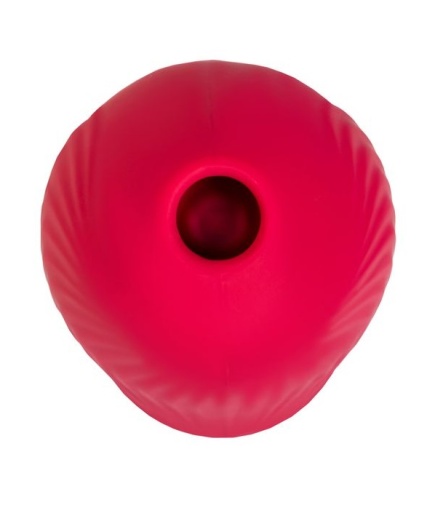 Flovetta - Qli Birdie Stimulator - Red photo