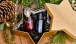 PheroStrong - Limited Edition Pheromone Perfume for Women - 50ml 照片-8