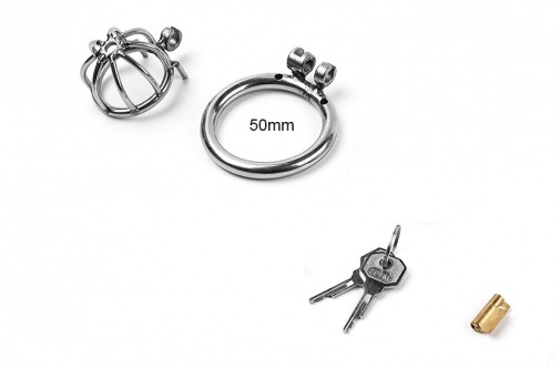 MT - Small Cock Cage 50mm - Silver photo