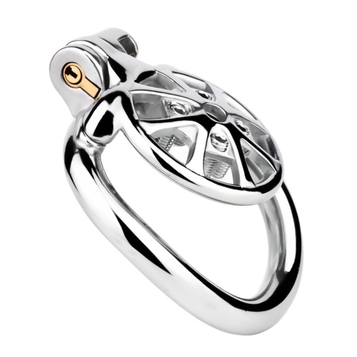 FAAK - Metal Chastity Cage 247 45mm 照片