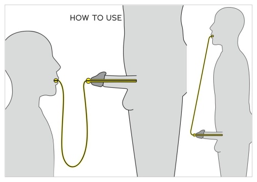 Penis Plug - 小便到嘴尿道擴張器 照片