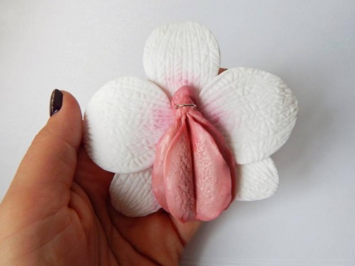 阴唇花瓣吊坠 照片