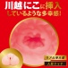 EXE - Japanese Real Hole 激 川越妮可 自慰器 照片-4