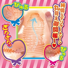 NPG - Miku-Chan 純情優等生自慰器 照片