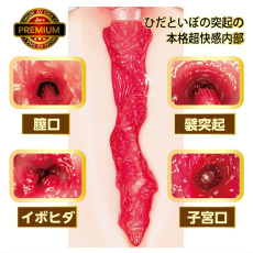 NPG - AV ONA CUP Premium 02 Koyoi Konan photo