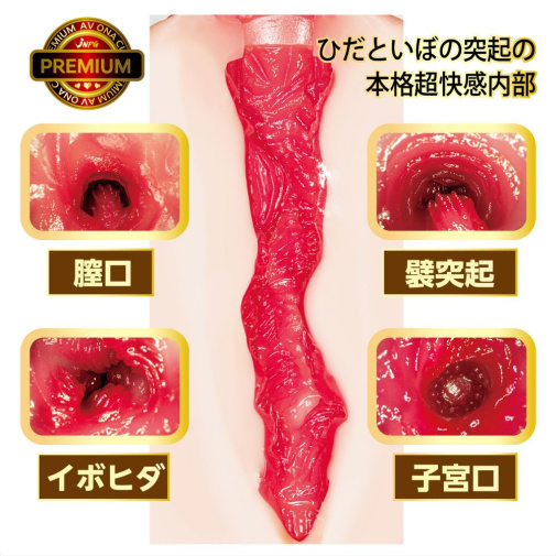 NPG - AV ONA CUP Premium 02 Koyoi Konan photo