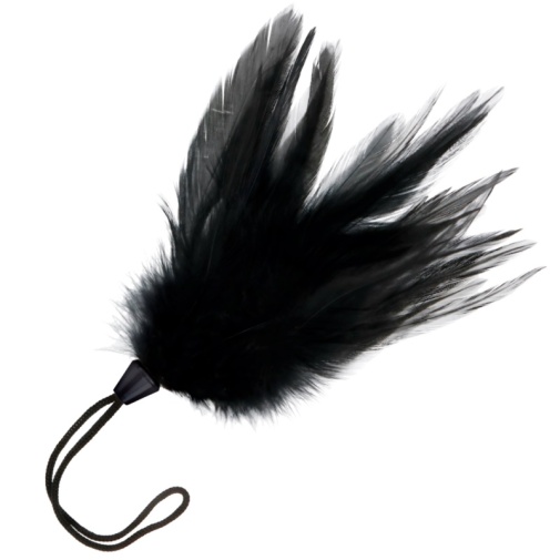 Darkness - Feather 17cm - Black photo