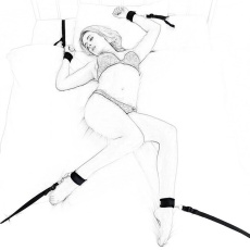 Liebe Seele - Under Bed Restraint System w Rings - Black photo