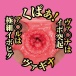 NPG - Sakura Miura ReNO 001 Masturbator photo-11
