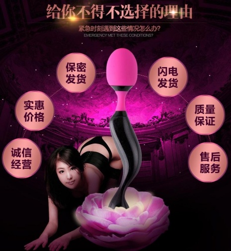 Adrien Lastic - Symphony 魔杖按摩棒 照片