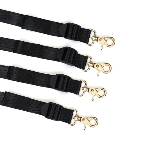 Liebe Seele - Under Bed Restraint System - Gold photo