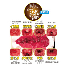 NPG - Eimi Fukada File 012 Vibro Masturbator photo