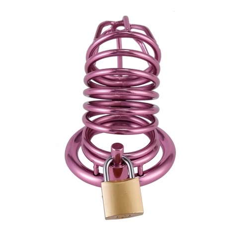 MT - Metal Chastity Cage w 3 Rings - Purple photo
