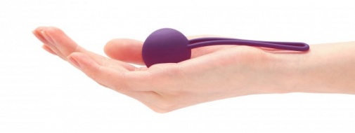 Love to Love - Per'Fit Kit Kegel Set - Purple photo