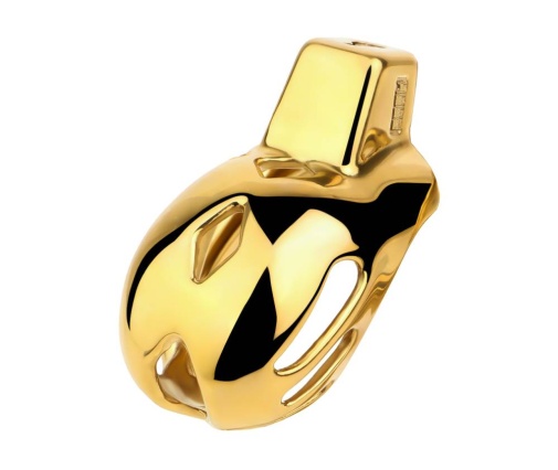 FAAK - Chastity Cage 184 - Gold 照片