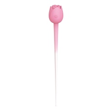 NPG - Funky Rose Vibrator - Pink 照片