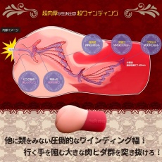 Magic Eyes - Gokusai Uterus 登月自慰器 照片