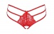 Passion - Otilla Thong - Red - L/XL photo-5
