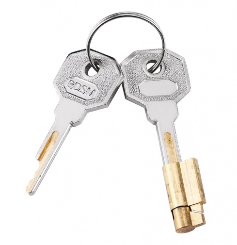 MT - Small Cock Cage 45mm - Silver photo