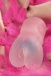 Juicy Pussy - Crystal Wave 自慰器 - 透明 照片-7