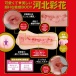 EXE - Japanese Real Hole 生 河北彩花自慰器 照片-2