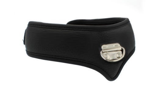 Kiotos - Basic Collar w Leash - Black photo