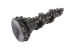 Chisa - Octopus Bugbear Dildo - Black photo-4