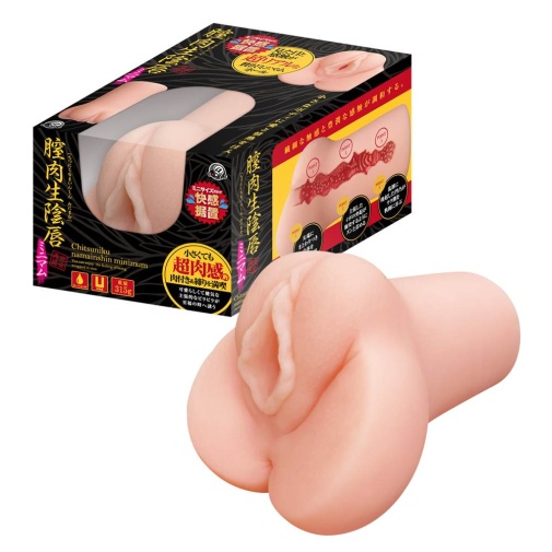 A-One - 膣肉生阴唇 自慰器 照片