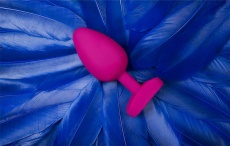Gvibe - Gplug Bioskin - Sweet Raspberry photo
