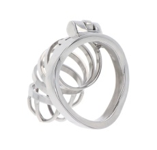 Hidden Desire - Metal Chastity Cage  photo