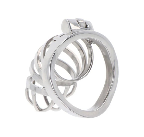 Hidden Desire - Metal Chastity Cage  photo