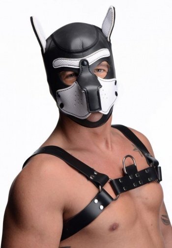 Master Series - Spike Neoprene 犬形頭罩 - 白色 照片