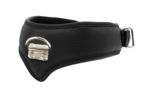 Kiotos - Basic Collar w Leash - Black photo