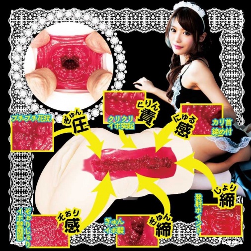 NPG - Immediate Service Maid Minami Aizawa Masturbator photo
