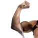 Fort Troff - FFister Sleeve - Clear photo