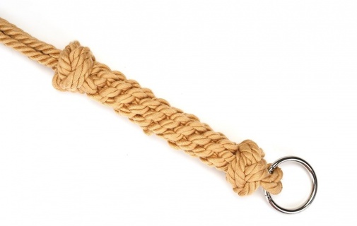 Liebe Seele - Shibari Rope Whip photo