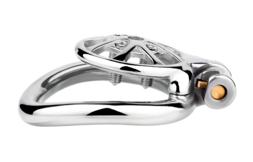 FAAK - Metal Chastity Cage 247 45mm 照片