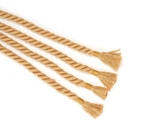 Liebe Seele - Shibari Rope Whip photo